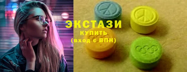 дживик Богородицк