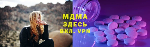 дживик Богородицк