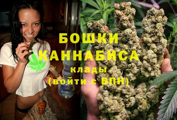 дживик Богородицк